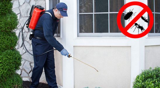Şalpazarı Karınca İlaçlama böcek ilaçlama ve haşere kontrolü — ilaclama-tr.com